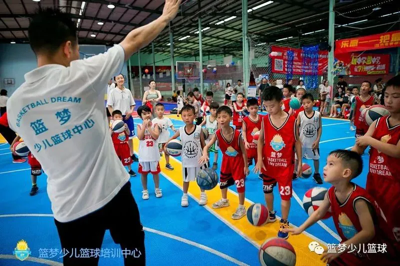 篮球训练技术动作视频下载教程大全_2